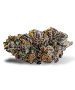 Purple Punch Strain