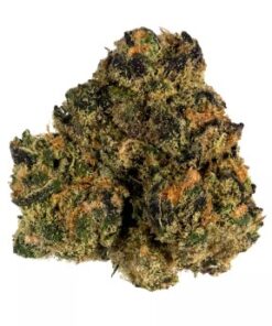 Sunset Sherbet Strain
