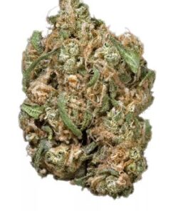 Tangerine Dream Strain