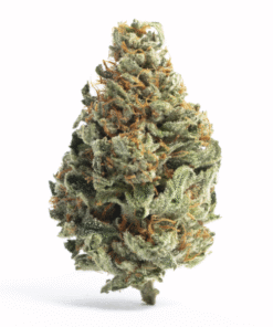 Tropical Runtz Strain