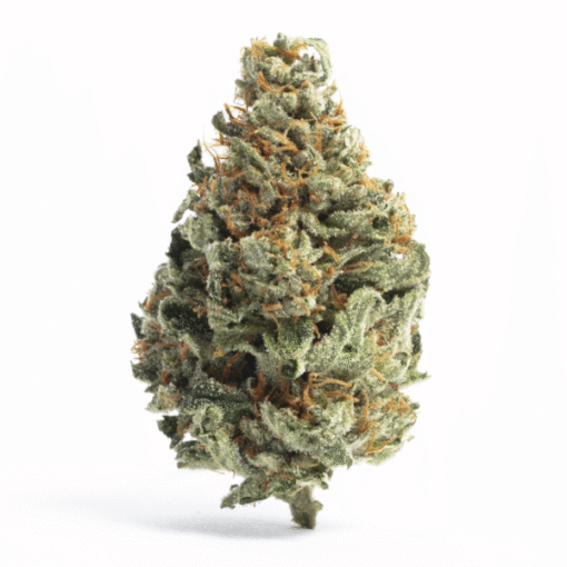 Tropical Runtz Strain