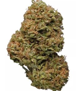 Amnesia Haze