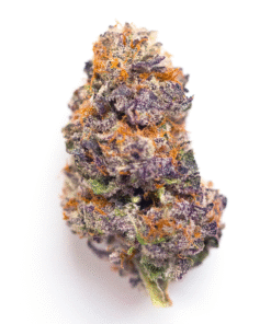 Cheesecake Strain