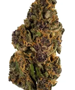 Forbidden Fruit Strain
