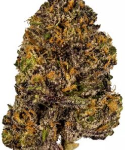 Grand Daddy Purple