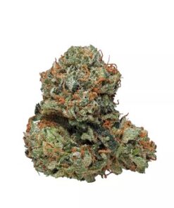 Kosher Kush Strain