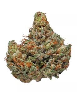 Master Kush