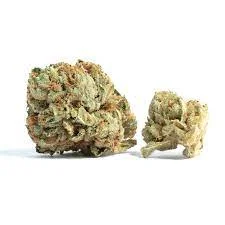 Cherry Garcia Strain