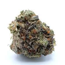 Death Master Strain ( 7g )