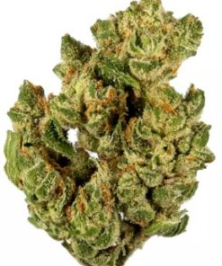 Banana OG Strain
