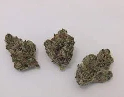 Do-Si-Do Strain ( 7g )