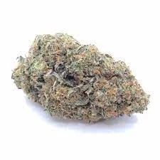 Gascotti Strain ( 7g )