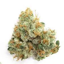 GMO Rootbeer Strain ( 7g )