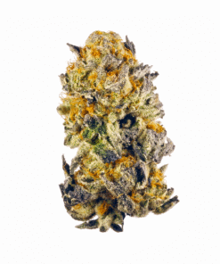 Cherry Punch Strain