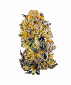 Cherry Punch Strain
