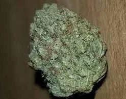 Han Solo Hash Plant Strain ( 7g )