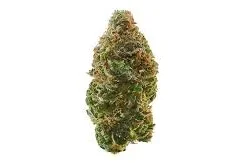 Jelly Mint Strain ( 7g )