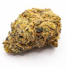 Midnight Runtz Strain