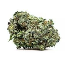 Mike Tyson Strain 7g