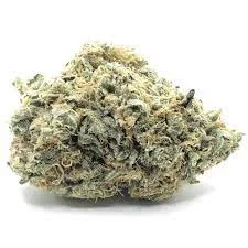 Milk Monkey Strain ( 7g )
