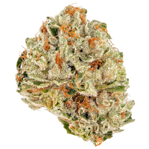 Devils Lettuce Strain