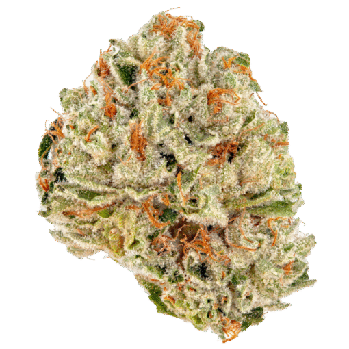 Devils Lettuce Strain