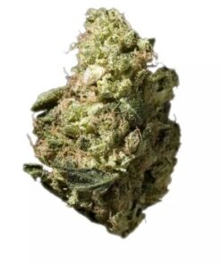 Headband OG Strain
