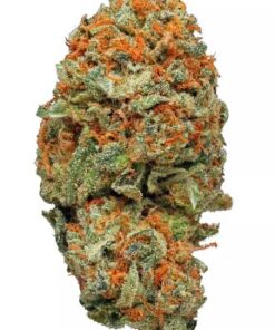 AK-47 strain