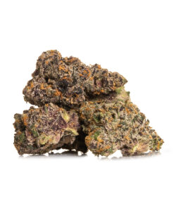 Biscotti x Runts