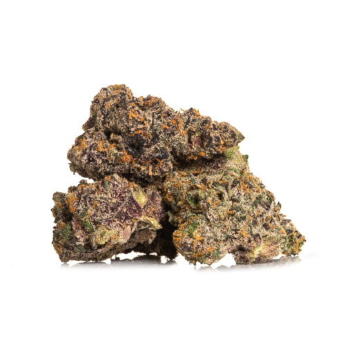 Biscotti x Runts