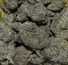 Candy Runtz Cannabis Weed