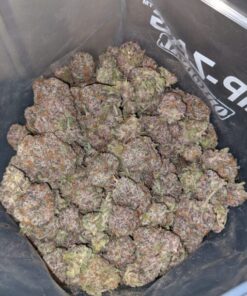 Packman Granddaddy Urkle