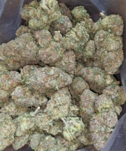 Buy Packman Berry Payton Online