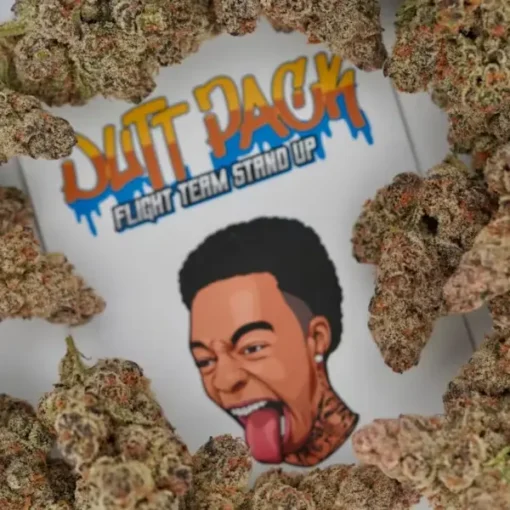 DUTT PACK Galactic Berry 23 3.5G