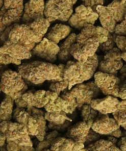 Caviar Cannabis Weed Strain