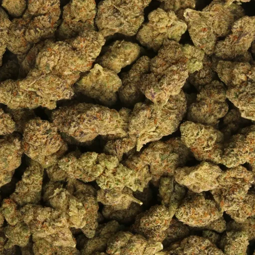Caviar Cannabis Weed Strain